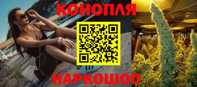 гашик Нальчик