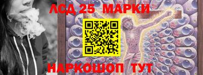 гашик Нальчик