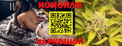 гашик Нальчик