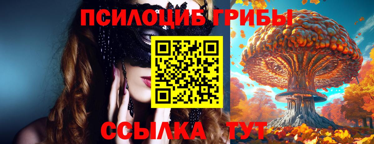 Псилоцибиновые грибы Psilocybine cubensis Владивосток